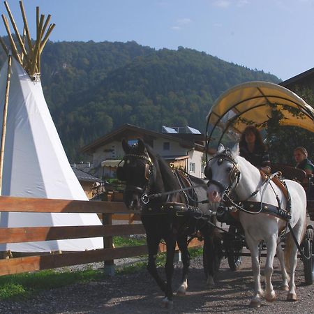 Reitanlage Dagnhof Apartamento Walchsee Exterior foto