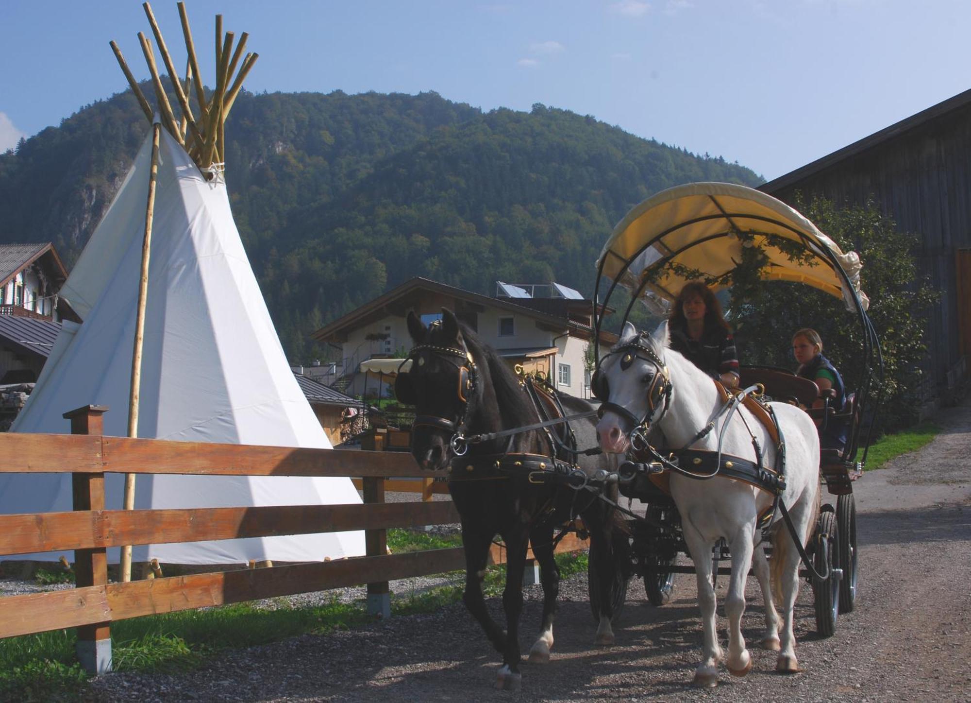 Reitanlage Dagnhof Apartamento Walchsee Exterior foto