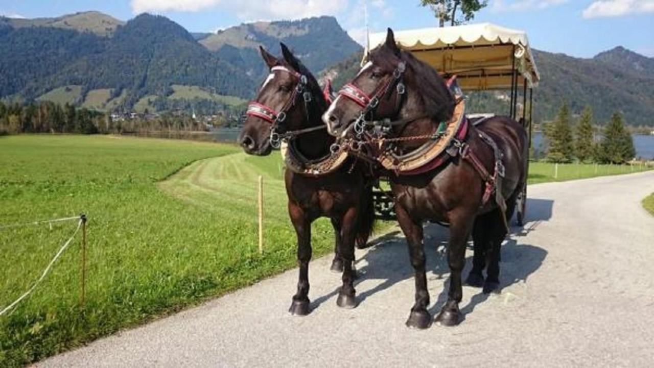 Reitanlage Dagnhof Apartamento Walchsee Exterior foto